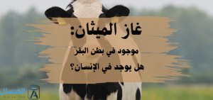 غاز الميثان موجود في بطون البقر .. هل يوجد في الانسان ؟