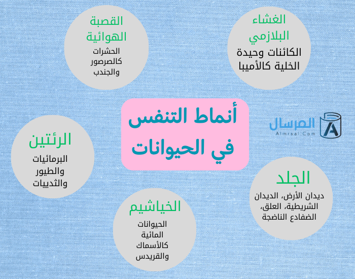 أنماط التنفس في الحيوانات