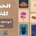 الحشرات المنزلية أنواعها وأسمائها بالصور