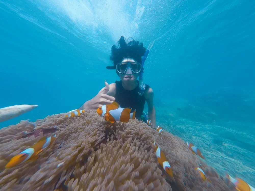 الغوص - Diving