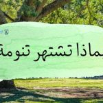 بماذا تشتهر تنومة ؟ .. وكيف طقسها صيفاً