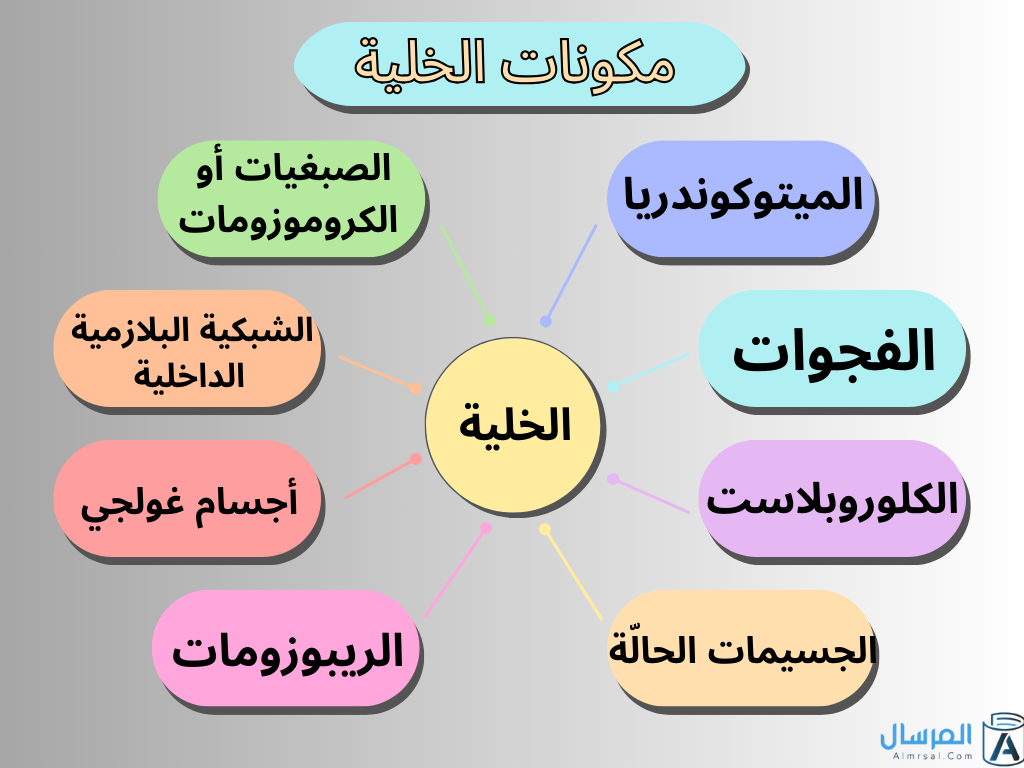 تركيب الخلية ووظائفها مكوناتها .. خرائط مفاهيم لها
