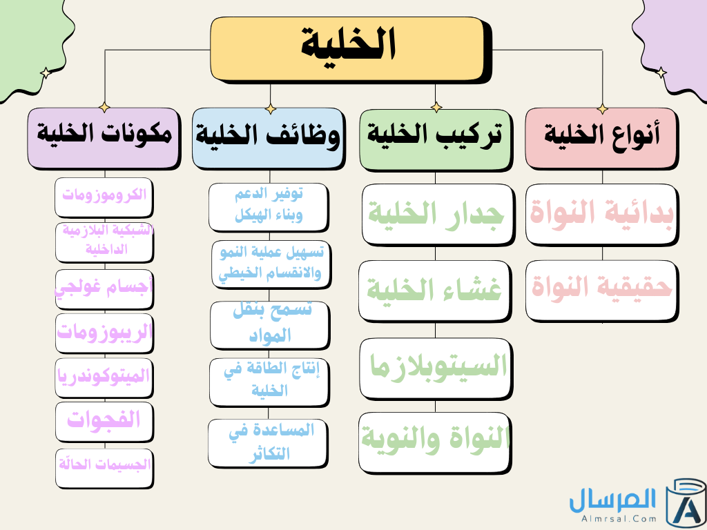 تركيب الخلية ووظائفها : مكوناتها .. خرائط مفاهيم لها