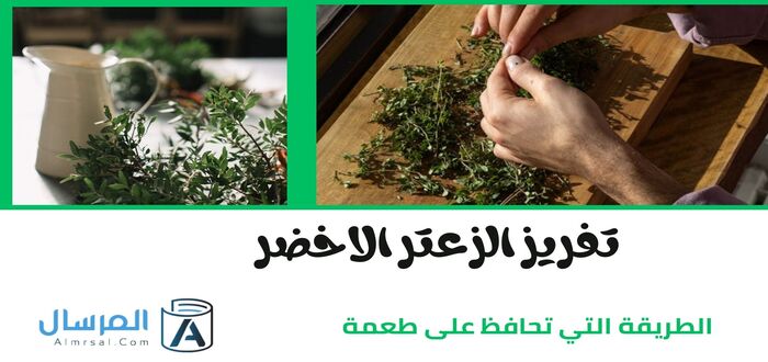 تفريز الزعتر الاخضر الطريقة التي تحافظ على طعمة