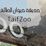 حديقة حيوان الطائف Taif Zoo : أبرز الحيوانات الموجوده