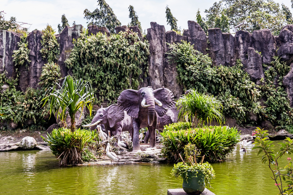 حديقة حيوان راجونان Ragunan Zoo