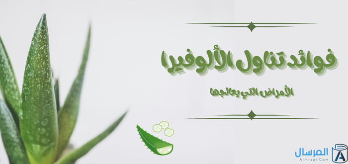 فوائد تناول الألوفيرا الأمراض التي يعالجها