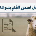 كيف اسمن الغنم بسرعه ؟ .. هل العلف يسمنها