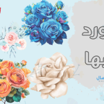 ألوان الورد ومعانيها