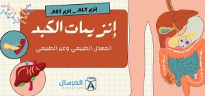 ارقام انزيمات الكبد المعدل الطبيعي وغير الطبيعي