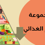 اكبر مجموعة في الهرم الغذائي