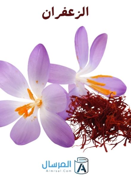 الزعفران