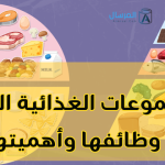 المجموعات الغذائية الخمسة : وظائفها وأهميتها