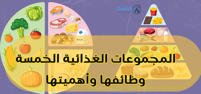 المجموعات الغذائية الخمسة : وظائفها وأهميتها