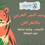 تهديد النمر العربي بالانقراض الأسباب .. وكيف تحافظ عليه المملكة