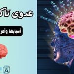 عدوى تآكل الدماغ أسبابها وأعراضها وعلاجها