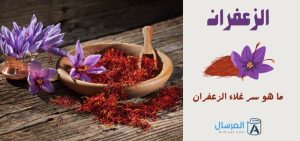 غرائب وعجائب