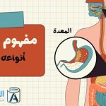 مفهوم الهضم: أنواعه ومراحله