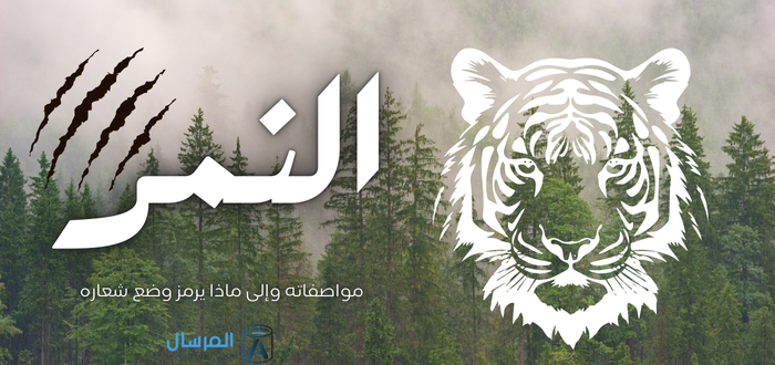 مواصفات النمر وإلى ماذا يرمز وضع شعاره