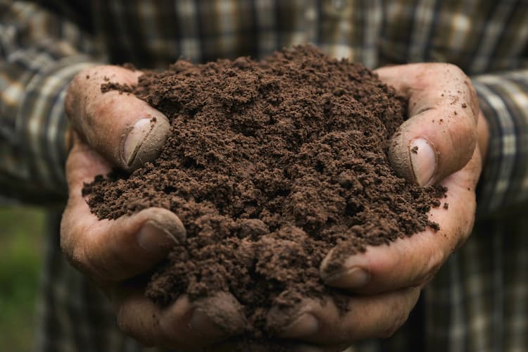 أهمية التربة في حياة الإنسان