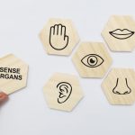 خصائص يمكن ملاحظتها باستخدام الحواس الخمس