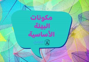مكونات البيئة الأساسية هي