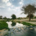 يقع وادي حنيفة في الرياض