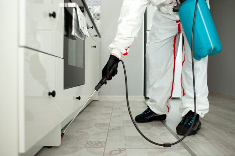 طريقة تنظيف المنزل بعد رش المبيدات