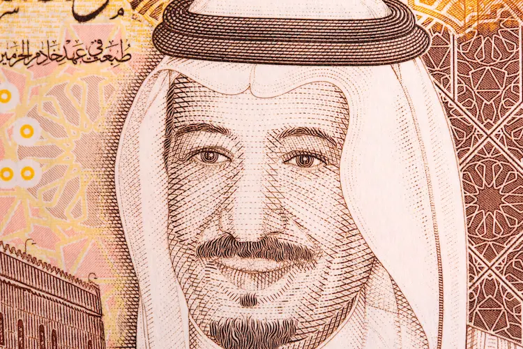 5 جمل عن الملك سلمان بالانجليزي مع الترجمة وأمثلة