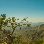تعبير عن السياحة في الطائف بالانجليزي: نماذج قصيرة