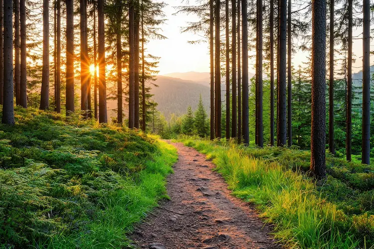 جمل قصيرة عن how to keep the environment clean