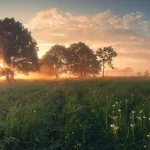 خصائص شعر الطبيعة عند ابن خفاجة تحليل شامل وأمثلة بارزة