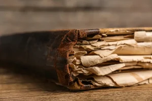 خصائص شعر الفتوح وموضوعاته وأهم رواده في الأدب العربي
