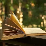 خصائص شعر سليمان جوادي أسلوبه وأهم مميزاته الفنية