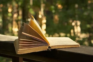 خصائص شعر سليمان جوادي أسلوبه وأهم مميزاته الفنية