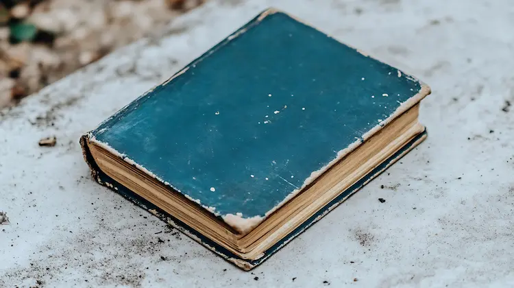 خصائص شعر لبيد بن ربيعة دراسة فنية وأدبية شاملة
