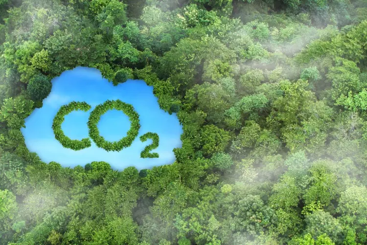 فسر لماذا يتصاعد غاز co2 من المحلول عند نزع الغطاء