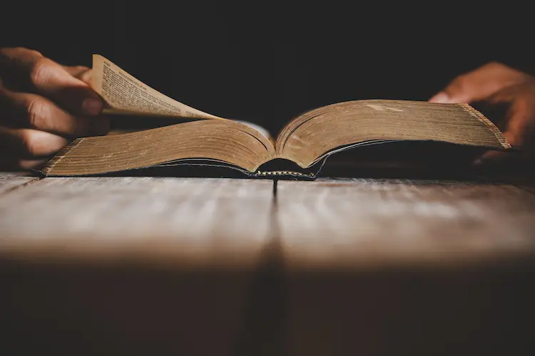 كتب كافكا أشهر 10 مؤلفات وأسرار نجاحها ومبيعاتها