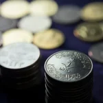 كم عدد الشركات التي تاسست في محفظة صندوق الاستثمار السعودي