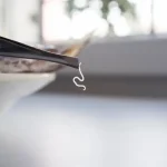 ما هو الحيوان الذي لا ينام طوال حياته؟ اكتشف الإجابة هنا
