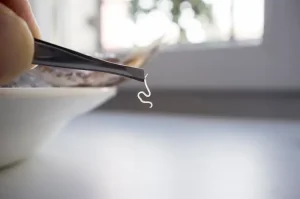ما هو الحيوان الذي لا ينام طوال حياته؟ اكتشف الإجابة هنا