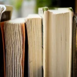 أعمال فيودور دوستويفسكي الأدبية
