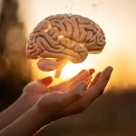يتمتع كل شخص بمجموعة فريدة من المهارات والقدرات التي يمكن استخدامها ويسمى ذلك بالذكاء الفردي