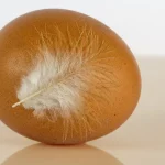 أسئلة وأجوبة عن العمل الجماعي