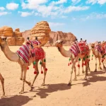 التاسيس قصة من التراث السعودي حكاية وطن وهوية
