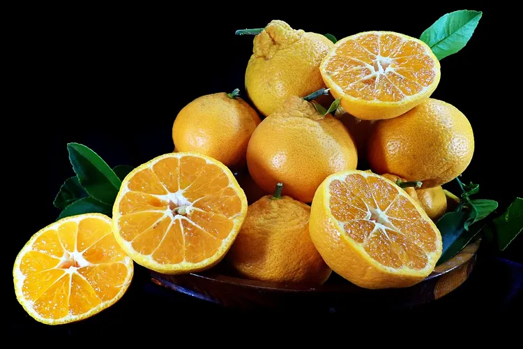 غذاء صحي