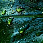 تأثير مياه الأمطار على التضاريس