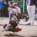 لا علاقة تربط بين معايير التفكير الناقد ومهاراته: صح أم خطأ