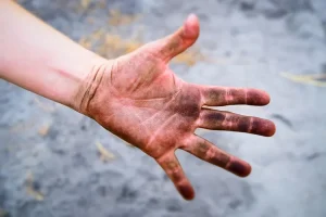 الأعضاء التي تشهد يوم القيامة
