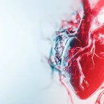 يتم نقل الأكسجين في اللياقة القلبية التنفسية عن طريق الجهاز الدوري